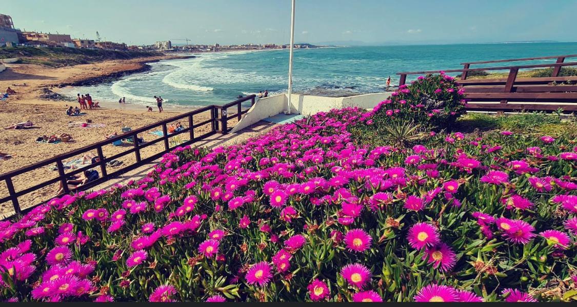 La Mata, Torrevieja Lejlighed Eksteriør billede